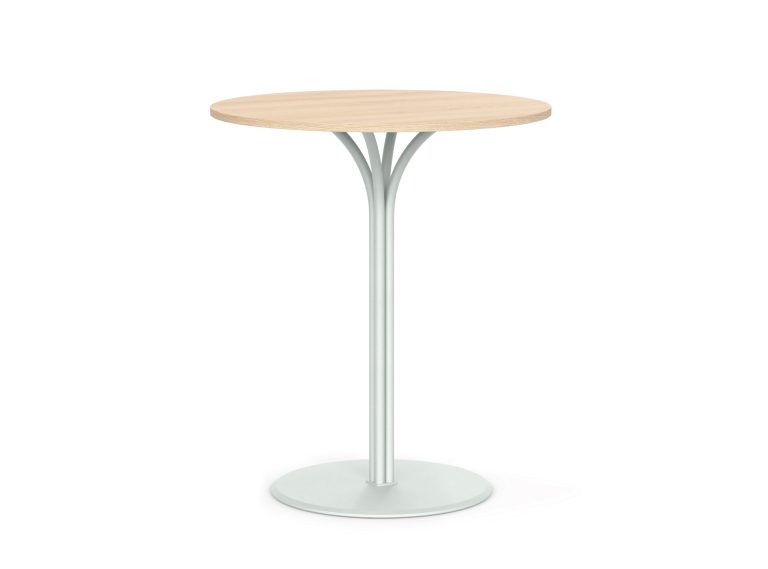 1321 04 senna I table