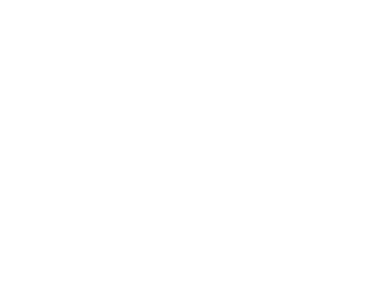 Chameleon