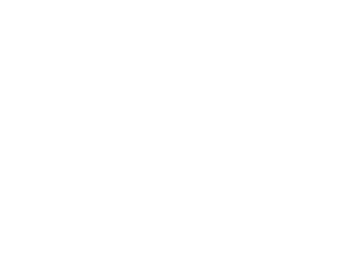 de Vorm